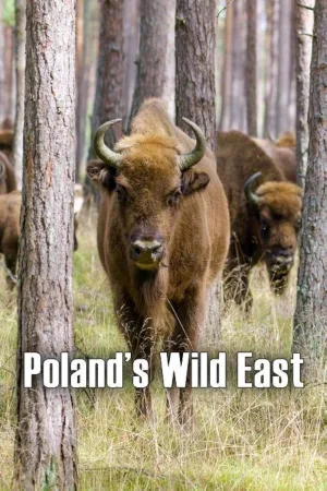 Poland's Wild East