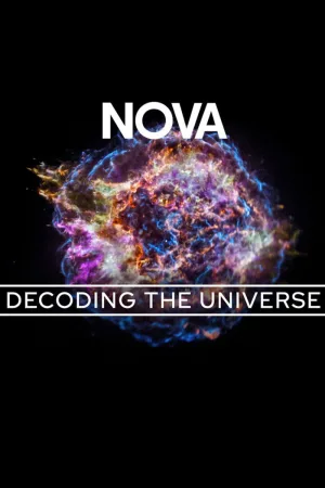 Decoding the Universe: Cosmos