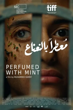 Watch and download Perfumed with Mint online (2024)