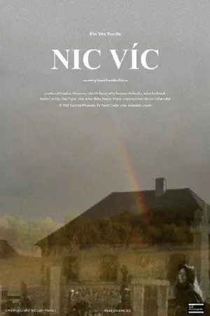 Nic víc