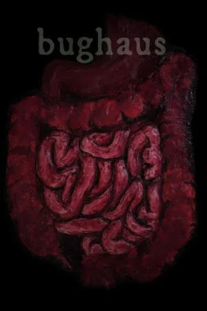 حشره خانه