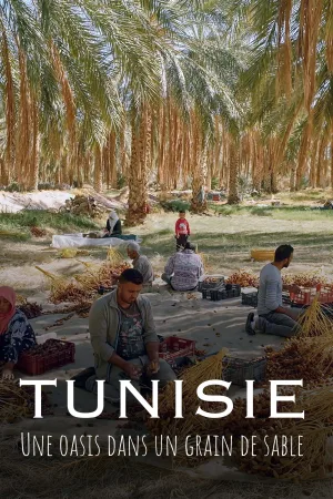 تونس: واحه ای در دانه شن