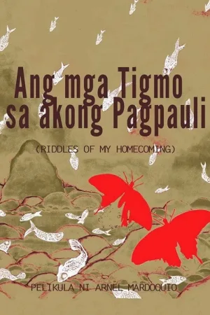 Ang mga Tigmo sa Akong Pagpauli