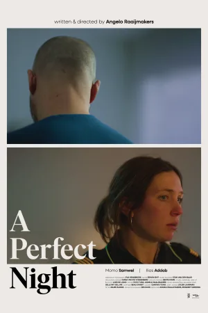 Watch and download A Perfect Night online (2025)