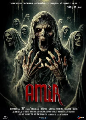 امیر