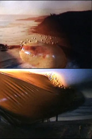 سکون باطنی