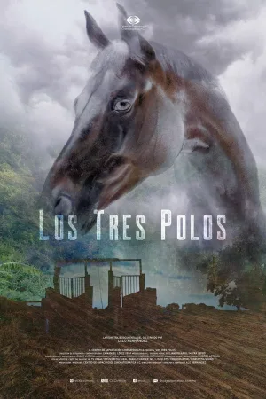 Watch and download Los tres Polos online (2025)