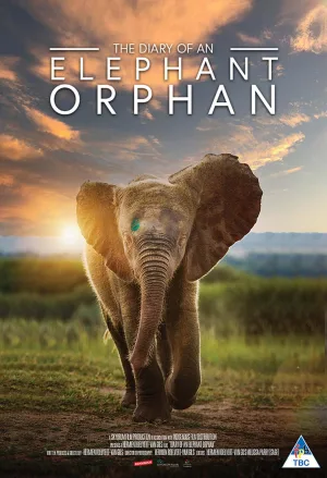 Watch and download Diary of an Elephant Orphan online (2025)