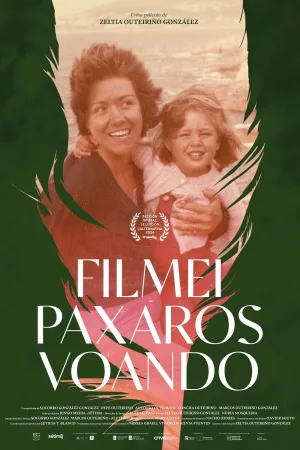 Filmei paxaros voando