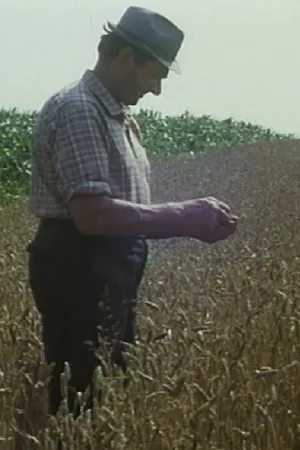 Watch and download Mikolaš Farmer Worker's First Holidays online (1984)