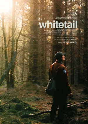 Whitetail