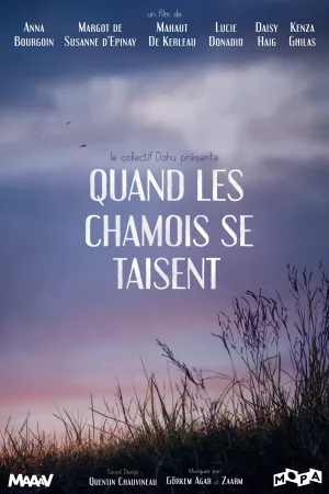 زمانی که کموها ساکت هستند