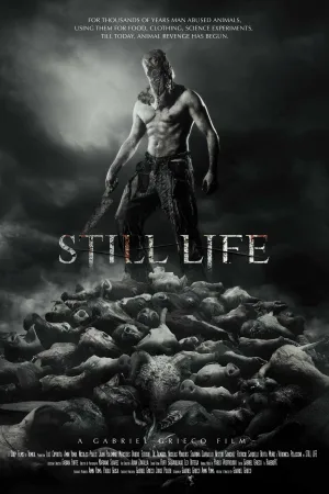 Still Life