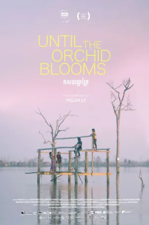 Watch and download Until the Orchid Blooms online (2024)