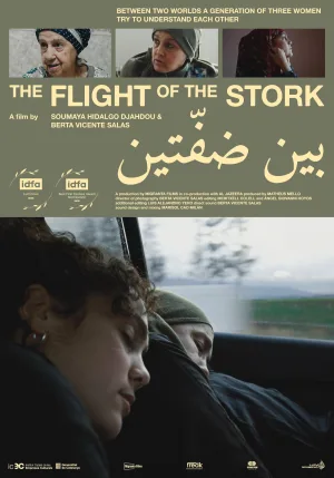 پرواز لک لک