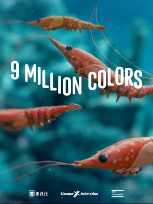 Watch and download 9 Million Colors online (2025)