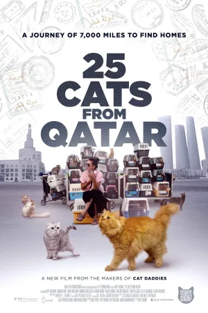 25 گربه از قطر