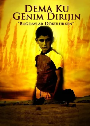 زمان برداشت