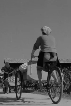Watch and download Laundresses from Bizovik online (1959)