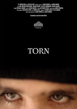 Watch and download Torn online (2014)