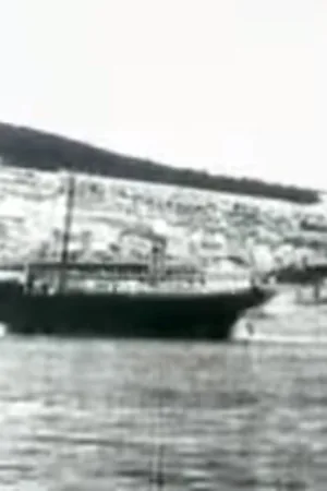 Watch and download Port of Šibenik online (1904)
