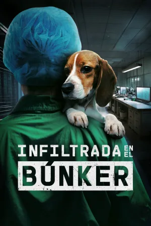 Watch and download Undercover. Inside the Bunker online (2025)