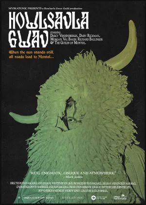 هولساولا گاو