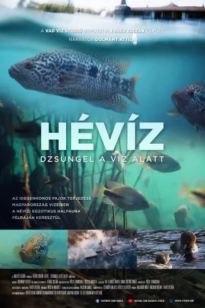 Watch and download The Underwater Jungle online (2025)