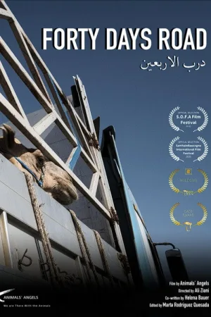 چهل روزه راه