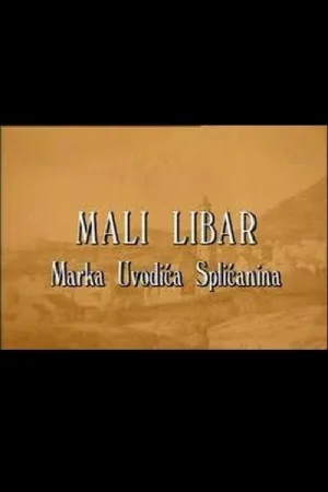 Watch and download A Little Inscription of Marko Uvodic from Split online (1997)