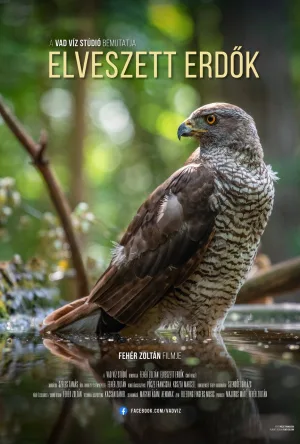 Watch and download Lost Forests online (2024)