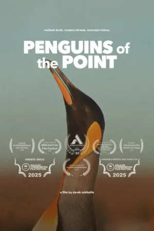 Watch and download Penguins of the Point online (2025)