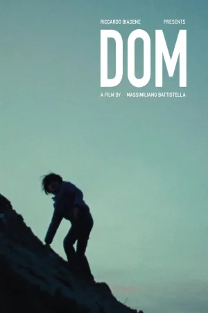 Dom