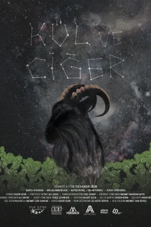 Watch and download Kül ve Ciğer online (2021)