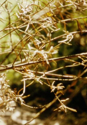 مرگ چه زمانی است