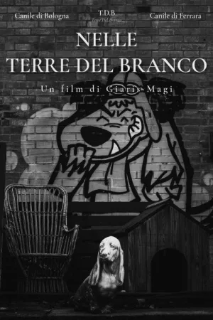 Watch and download Nelle Terre Del Branco online (2026)