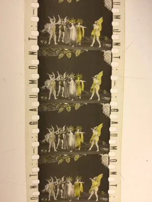 Watch and download The Roses online (1908)