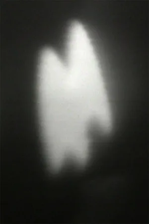 موسیقی خوک
