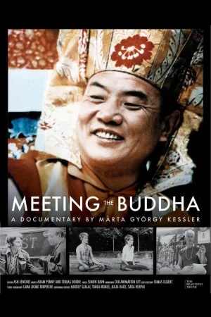Watch and download Meeting the Buddha online (2026)