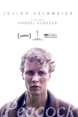 Watch and download Peacock online (2024)