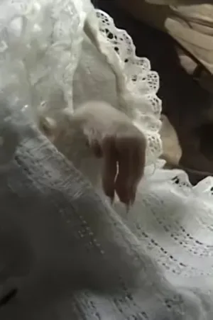 همه چیز درباره یک دختر