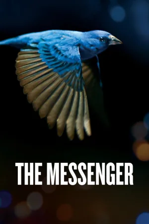 Watch and download The Messenger online (2015)