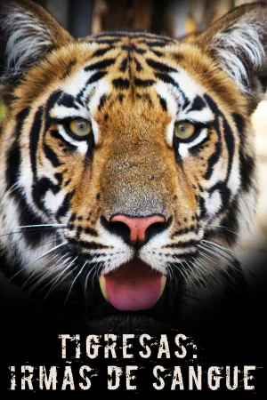خون تیگرس