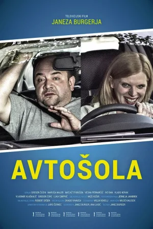 Watch and download Driving School online (2014)