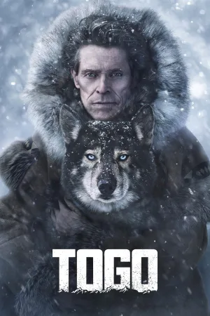 Watch and download Togo online (2019)