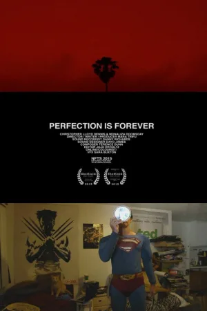 Watch and download Perfection Is Forever online (2015)
