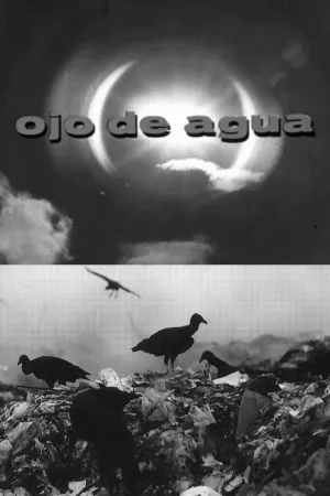 Watch and download Ojo de Agua online (1972)