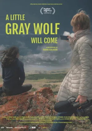 Watch and download A Little Gray Wolf Will Come online (2025)