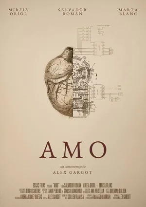 Amo