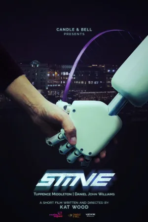 استین
